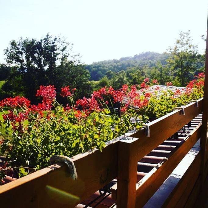Bed and Breakfast Ca' del Cuco Barzana Esterno foto